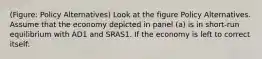 (Figure: Policy Alternatives) Look at the figure Policy Alternatives. Assume that the economy depicted in panel (a) is in short-run equilibrium with AD1 and SRAS1. If the economy is left to correct itself: