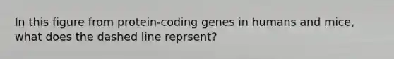 In this figure from protein-coding genes in humans and mice, what does the dashed line reprsent?