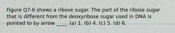 Figure Q7-6 shows a ribose sugar. The part of the ribose sugar that is different from the deoxyribose sugar used in DNA is pointed to by arrow ____. (a) 1. (b) 4. (c) 5. (d) 6.