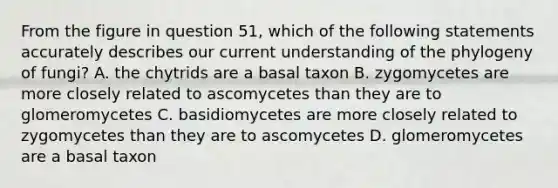 From the figure in question 51, which of the following statements accurately describes our current understanding of the phylogeny of fungi? A. the chytrids are a basal taxon B. zygomycetes are more closely related to ascomycetes than they are to glomeromycetes C. basidiomycetes are more closely related to zygomycetes than they are to ascomycetes D. glomeromycetes are a basal taxon