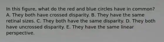 In this figure, what do the red and blue circles have in common? A. They both have crossed disparity. B. They have the same retinal sizes. C. They both have the same disparity. D. They both have uncrossed disparity. E. They have the same linear perspective.