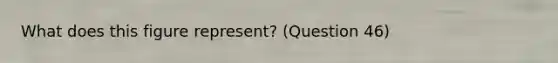 What does this figure represent? (Question 46)