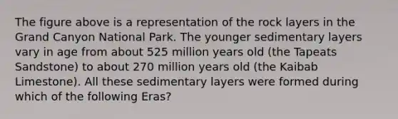 The figure above is a representation of the rock layers in the Grand Canyon National Park. The younger sedimentary layers vary in age from about 525 million years old (the Tapeats Sandstone) to about 270 million years old (the Kaibab Limestone). All these sedimentary layers were formed during which of the following Eras?