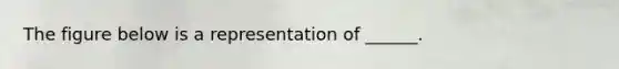 The figure below is a representation of ______.