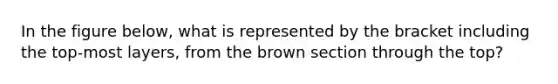 In the figure below, what is represented by the bracket including the top-most layers, from the brown section through the top?