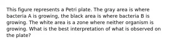 This figure represents a Petri plate. The gray area is where bacteria A is growing, the black area is where bacteria B is growing. The white area is a zone where neither organism is growing. What is the best interpretation of what is observed on the plate?