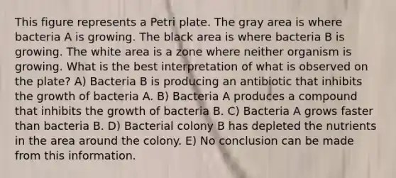 This figure represents a Petri plate. The gray area is where bacteria A is growing. The black area is where bacteria B is growing. The white area is a zone where neither organism is growing. What is the best interpretation of what is observed on the plate? A) Bacteria B is producing an antibiotic that inhibits the growth of bacteria A. B) Bacteria A produces a compound that inhibits the growth of bacteria B. C) Bacteria A grows faster than bacteria B. D) Bacterial colony B has depleted the nutrients in the area around the colony. E) No conclusion can be made from this information.