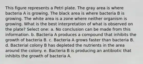 This figure represents a Petri plate. The gray area is where bacteria A is growing. The black area is where bacteria B is growing. The white area is a zone where neither organism is growing. What is the best interpretation of what is observed on the plate? Select one: a. No conclusion can be made from this information. b. Bacteria A produces a compound that inhibits the growth of bacteria B. c. Bacteria A grows faster than bacteria B. d. Bacterial colony B has depleted the nutrients in the area around the colony. e. Bacteria B is producing an antibiotic that inhibits the growth of bacteria A.