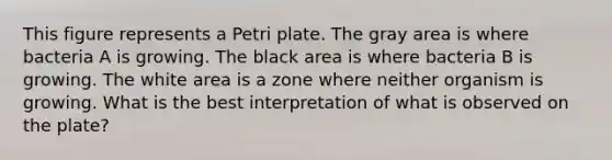 This figure represents a Petri plate. The gray area is where bacteria A is growing. The black area is where bacteria B is growing. The white area is a zone where neither organism is growing. What is the best interpretation of what is observed on the plate?