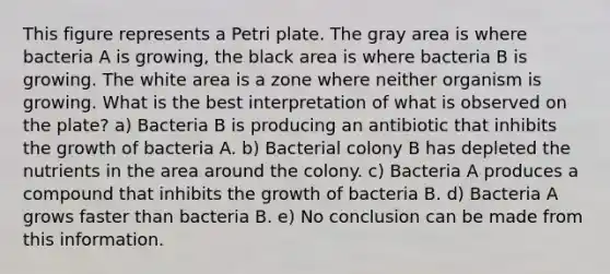 This figure represents a Petri plate. The gray area is where bacteria A is growing, the black area is where bacteria B is growing. The white area is a zone where neither organism is growing. What is the best interpretation of what is observed on the plate? a) Bacteria B is producing an antibiotic that inhibits the growth of bacteria A. b) Bacterial colony B has depleted the nutrients in the area around the colony. c) Bacteria A produces a compound that inhibits the growth of bacteria B. d) Bacteria A grows faster than bacteria B. e) No conclusion can be made from this information.