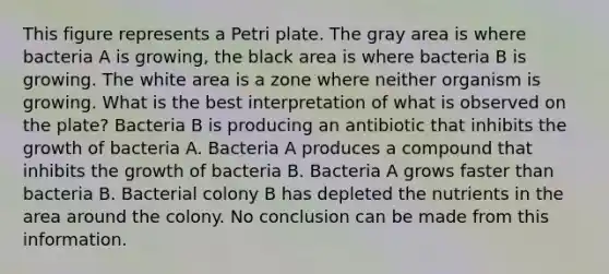 This figure represents a Petri plate. The gray area is where bacteria A is growing, the black area is where bacteria B is growing. The white area is a zone where neither organism is growing. What is the best interpretation of what is observed on the plate? Bacteria B is producing an antibiotic that inhibits the growth of bacteria A. Bacteria A produces a compound that inhibits the growth of bacteria B. Bacteria A grows faster than bacteria B. Bacterial colony B has depleted the nutrients in the area around the colony. No conclusion can be made from this information.