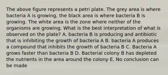 The above figure represents a petri plate. The grey area is where bacteria A is growing, the black area is where bacteria B is growing. The white area is the zone where neither of the organisms are growing. What is the best interpretation of what is observed on the plate? A. bacteria B is producing and antibiotic that is inhibiting the growth of bacteria A B. bacteria A produces a compound that inhibits the growth of bacteria B C. Bacteria A grows faster than bacteria B D. Bacterial colony B has depleted the nutrients in the area around the colony E. No conclusion can be made