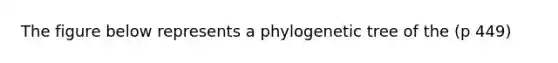 The figure below represents a phylogenetic tree of the (p 449)