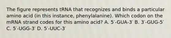 The figure represents tRNA that recognizes and binds a particular amino acid (in this instance, phenylalanine). Which codon on the mRNA strand codes for this amino acid? A. 5′-GUA-3′ B. 3′-GUG-5′ C. 5′-UGG-3′ D. 5′-UUC-3′