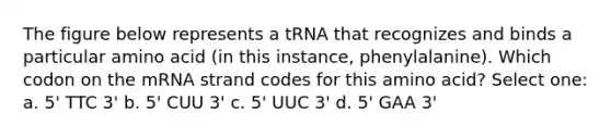 The figure below represents a tRNA that recognizes and binds a particular amino acid (in this instance, phenylalanine). Which codon on the mRNA strand codes for this amino acid? Select one: a. 5' TTC 3' b. 5' CUU 3' c. 5' UUC 3' d. 5' GAA 3'