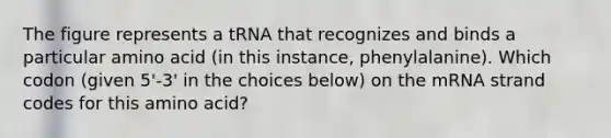 The figure represents a tRNA that recognizes and binds a particular amino acid (in this instance, phenylalanine). Which codon (given 5'-3' in the choices below) on the mRNA strand codes for this amino acid?