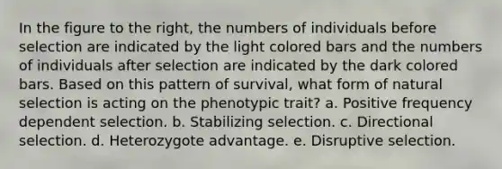 In the figure to the right, the numbers of individuals before selection are indicated by the light colored bars and the numbers of individuals after selection are indicated by the dark colored bars. Based on this pattern of survival, what form of natural selection is acting on the phenotypic trait? a. Positive frequency dependent selection. b. Stabilizing selection. c. Directional selection. d. Heterozygote advantage. e. Disruptive selection.