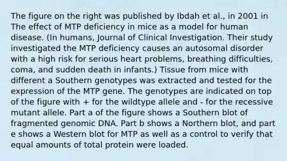 The figure on the right was published by Ibdah et al., in 2001 in The effect of MTP deficiency in mice as a model for human disease. (In humans, Journal of Clinical Investigation. Their study investigated the MTP deficiency causes an autosomal disorder with a high risk for serious heart problems, breathing difficulties, coma, and sudden death in infants.) Tissue from mice with different a Southern genotypes was extracted and tested for the expression of the MTP gene. The genotypes are indicated on top of the figure with + for the wildtype allele and - for the recessive mutant allele. Part a of the figure shows a Southern blot of fragmented genomic DNA. Part b shows a Northern blot, and part e shows a Western blot for MTP as well as a control to verify that equal amounts of total protein were loaded.