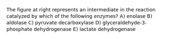 The figure at right represents an intermediate in the reaction catalyzed by which of the following enzymes? A) enolase B) aldolase C) pyruvate decarboxylase D) glyceraldehyde-3-phosphate dehydrogenase E) lactate dehydrogenase