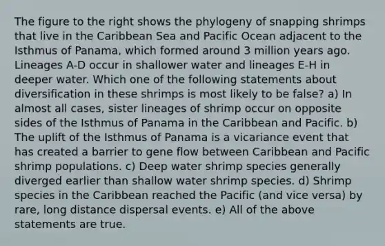 The figure to the right shows the phylogeny of snapping shrimps that live in the Caribbean Sea and Pacific Ocean adjacent to the Isthmus of Panama, which formed around 3 million years ago. Lineages A-D occur in shallower water and lineages E-H in deeper water. Which one of the following statements about diversification in these shrimps is most likely to be false? a) In almost all cases, sister lineages of shrimp occur on opposite sides of the Isthmus of Panama in the Caribbean and Pacific. b) The uplift of the Isthmus of Panama is a vicariance event that has created a barrier to gene flow between Caribbean and Pacific shrimp populations. c) Deep water shrimp species generally diverged earlier than shallow water shrimp species. d) Shrimp species in the Caribbean reached the Pacific (and vice versa) by rare, long distance dispersal events. e) All of the above statements are true.