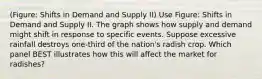 (Figure: Shifts in Demand and Supply II) Use Figure: Shifts in Demand and Supply II. The graph shows how supply and demand might shift in response to specific events. Suppose excessive rainfall destroys one-third of the nation's radish crop. Which panel BEST illustrates how this will affect the market for radishes?