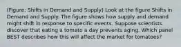 (Figure: Shifts in Demand and Supply) Look at the figure Shifts in Demand and Supply. The figure shows how supply and demand might shift in response to specific events. Suppose scientists discover that eating a tomato a day prevents aging. Which panel BEST describes how this will affect the market for tomatoes?