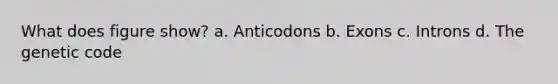 What does figure show? a. Anticodons b. Exons c. Introns d. The genetic code