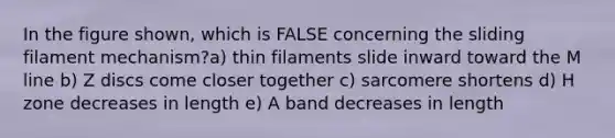 In the figure shown, which is FALSE concerning the sliding filament mechanism?a) thin filaments slide inward toward the M line b) Z discs come closer together c) sarcomere shortens d) H zone decreases in length e) A band decreases in length