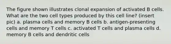 The figure shown illustrates clonal expansion of activated B cells. What are the two cell types produced by this cell line? (insert pic) a. plasma cells and memory B cells b. antigen-presenting cells and memory T cells c. activated T cells and plasma cells d. memory B cells and dendritic cells