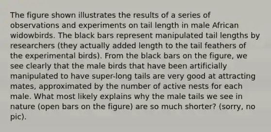 The figure shown illustrates the results of a series of observations and experiments on tail length in male African widowbirds. The black bars represent manipulated tail lengths by researchers (they actually added length to the tail feathers of the experimental birds). From the black bars on the figure, we see clearly that the male birds that have been artificially manipulated to have super-long tails are very good at attracting mates, approximated by the number of active nests for each male. What most likely explains why the male tails we see in nature (open bars on the figure) are so much shorter? (sorry, no pic).