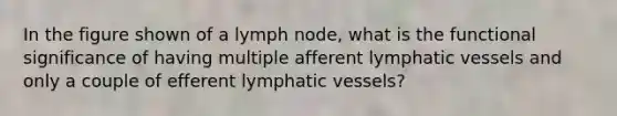 In the figure shown of a lymph node, what is the functional significance of having multiple afferent <a href='https://www.questionai.com/knowledge/ki6sUebkzn-lymphatic-vessels' class='anchor-knowledge'>lymphatic vessels</a> and only a couple of efferent lymphatic vessels?