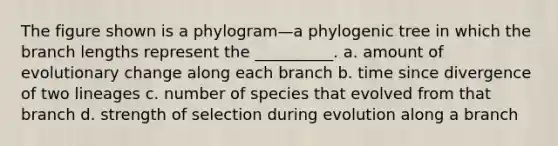 The figure shown is a phylogram—a phylogenic tree in which the branch lengths represent the __________. a. amount of evolutionary change along each branch b. time since divergence of two lineages c. number of species that evolved from that branch d. strength of selection during evolution along a branch