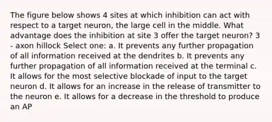 The figure below shows 4 sites at which inhibition can act with respect to a target neuron, the large cell in the middle. What advantage does the inhibition at site 3 offer the target neuron? 3 - axon hillock Select one: a. It prevents any further propagation of all information received at the dendrites b. It prevents any further propagation of all information received at the terminal c. It allows for the most selective blockade of input to the target neuron d. It allows for an increase in the release of transmitter to the neuron e. It allows for a decrease in the threshold to produce an AP