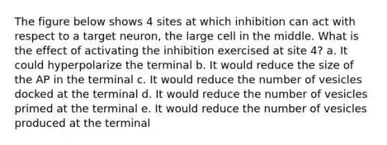 The figure below shows 4 sites at which inhibition can act with respect to a target neuron, the large cell in the middle. What is the effect of activating the inhibition exercised at site 4? a. It could hyperpolarize the terminal b. It would reduce the size of the AP in the terminal c. It would reduce the number of vesicles docked at the terminal d. It would reduce the number of vesicles primed at the terminal e. It would reduce the number of vesicles produced at the terminal