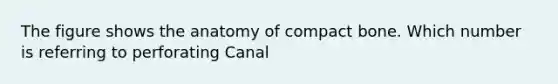 The figure shows the anatomy of compact bone. Which number is referring to perforating Canal