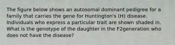 The figure below shows an autosomal dominant pedigree for a family that carries the gene for Huntington's (H) disease. Individuals who express a particular trait are shown shaded in. What is the genotype of the daughter in the F2generation who does not have the disease?