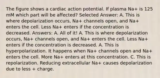 The figure shows a cardiac action potential. If plasma Na+ is 125 mM which part will be affected? Selected Answer: A. This is where depolarization occurs, Na+ channels open, and Na+ enters the cell. Less Na+ enters if the concentration is decreased. Answers: A. All of it! A. This is where depolarization occurs, Na+ channels open, and Na+ enters the cell. Less Na+ enters if the concentration is decreased. A. This is hyperpolarization. It happens when Na+ channels open and Na+ enters the cell. More Na+ enters at this concentration. C. This is repolarization. Reducing extracellular Na+ causes depolarization due to less + charge.