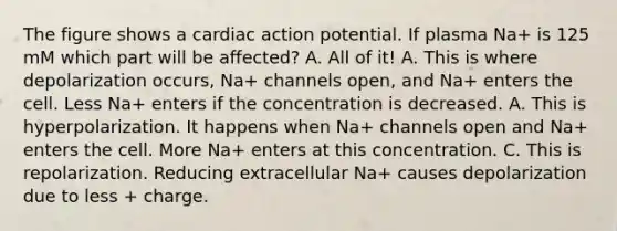 The figure shows a cardiac action potential. If plasma Na+ is 125 mM which part will be affected? A. All of it! A. This is where depolarization occurs, Na+ channels open, and Na+ enters the cell. Less Na+ enters if the concentration is decreased. A. This is hyperpolarization. It happens when Na+ channels open and Na+ enters the cell. More Na+ enters at this concentration. C. This is repolarization. Reducing extracellular Na+ causes depolarization due to less + charge.