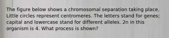 The figure below shows a chromosomal separation taking place. Little circles represent centromeres. The letters stand for genes; capital and lowercase stand for different alleles. 2n in this organism is 4. What process is shown?