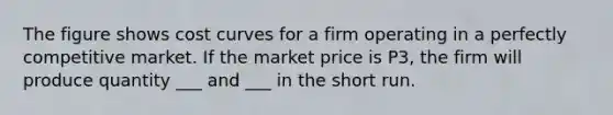 The figure shows cost curves for a firm operating in a perfectly competitive market. If the market price is P3, the firm will produce quantity ___ and ___ in the short run.