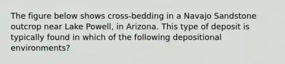 The figure below shows cross-bedding in a Navajo Sandstone outcrop near Lake Powell, in Arizona. This type of deposit is typically found in which of the following depositional environments?