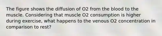 The figure shows the diffusion of O2 from the blood to the muscle. Considering that muscle O2 consumption is higher during exercise, what happens to the venous O2 concentration in comparison to rest?