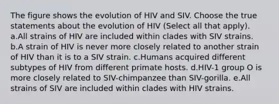 The figure shows the evolution of HIV and SIV. Choose the true statements about the evolution of HIV (Select all that apply). a.All strains of HIV are included within clades with SIV strains. b.A strain of HIV is never more closely related to another strain of HIV than it is to a SIV strain. c.Humans acquired different subtypes of HIV from different primate hosts. d.HIV-1 group O is more closely related to SIV-chimpanzee than SIV-gorilla. e.All strains of SIV are included within clades with HIV strains.