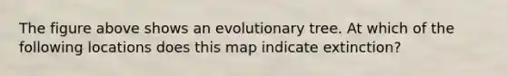 The figure above shows an evolutionary tree. At which of the following locations does this map indicate extinction?