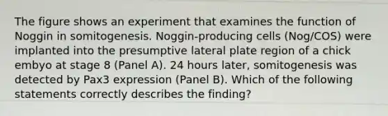 The figure shows an experiment that examines the function of Noggin in somitogenesis. Noggin-producing cells (Nog/COS) were implanted into the presumptive lateral plate region of a chick embyo at stage 8 (Panel A). 24 hours later, somitogenesis was detected by Pax3 expression (Panel B). Which of the following statements correctly describes the finding?