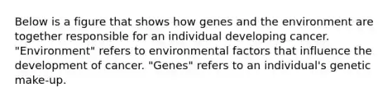 Below is a figure that shows how genes and the environment are together responsible for an individual developing cancer. "Environment" refers to environmental factors that influence the development of cancer. "Genes" refers to an individual's genetic make-up.