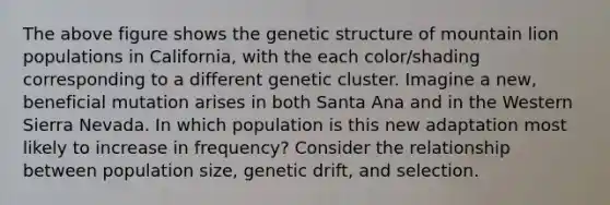 The above figure shows the genetic structure of mountain lion populations in California, with the each color/shading corresponding to a different genetic cluster. Imagine a new, beneficial mutation arises in both Santa Ana and in the Western Sierra Nevada. In which population is this new adaptation most likely to increase in frequency? Consider the relationship between population size, genetic drift, and selection.