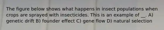 The figure below shows what happens in insect populations when crops are sprayed with insecticides. This is an example of __. A) genetic drift B) founder effect C) gene flow D) natural selection