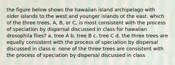 the figure below shows the hawaiian island archipelago with older islands to the west and younger islands ot the east. which of the three trees, A, B, or C, is most consistent with the process of speciation by dispersal discussed in class for hawaiian drosophila flies? a. tree A b. tree B c. tree C d. the three trees are equally consistent with the process of speciation by dispersal discussed in class e. none of the three trees are consistent with the process of speciation by dispersal discussed in class