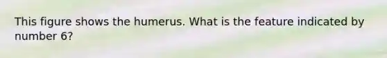 This figure shows the humerus. What is the feature indicated by number 6?